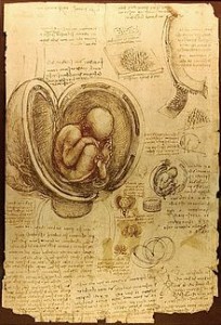 Da Vinci: "Study of Foetus in the Womb"(1510)