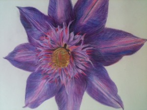 Olivia: Untitled (colored pencil)