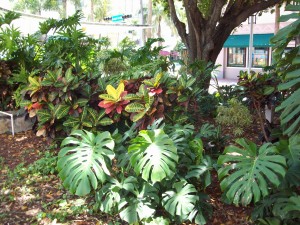 Miami street scene