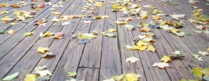 Photo of leaves on deck