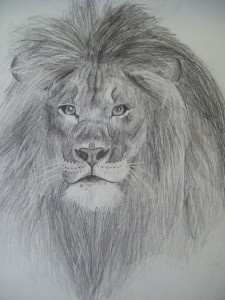 Grand-daughter, Olivia: Olivia's Lion