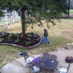 One of the many beds landscaped