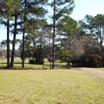 Drive toward the two houses on the estate