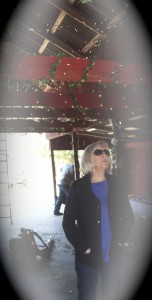 Nancy checking out the decorations in the barn.