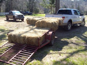 Dropping off bails of hay~a little atmosphere